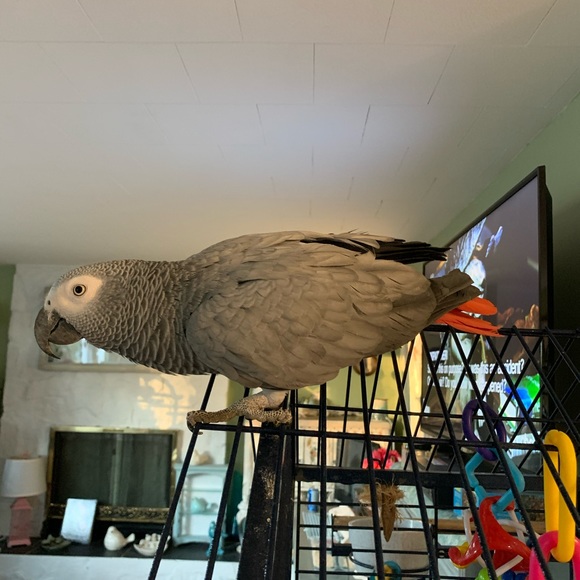 Meet your Posher, Karen - Picture 12 of 12